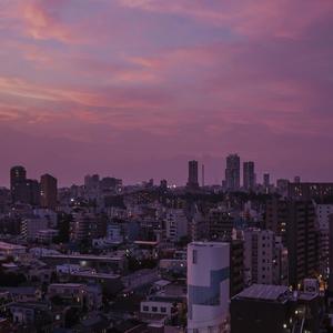 校花被捅出淫水
